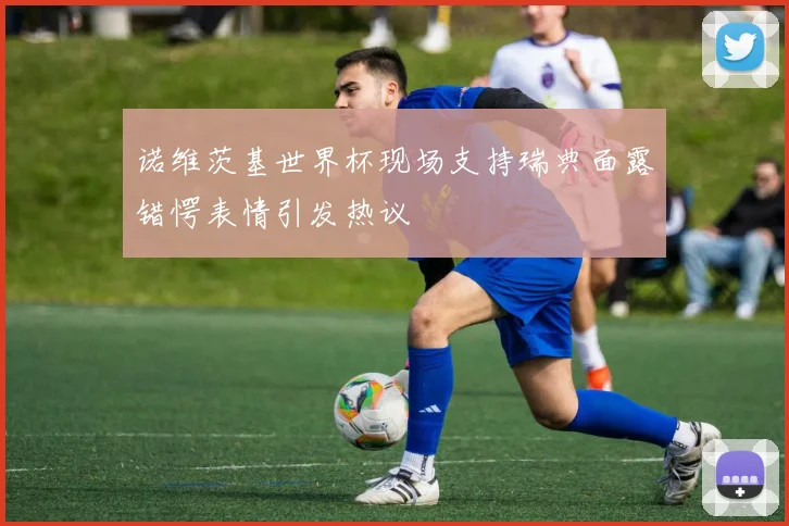 诺维茨基世界杯现场支持瑞典面露错愕表情引发热议
