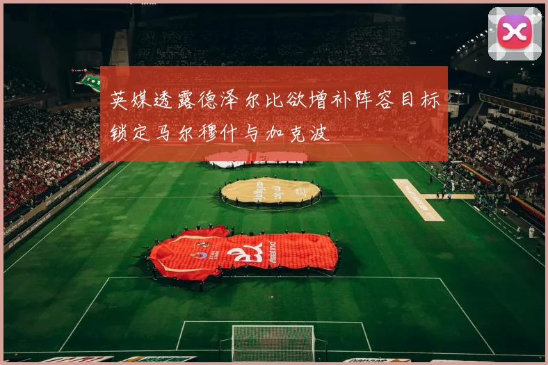 英媒透露德泽尔比欲增补阵容目标锁定马尔穆什与加克波